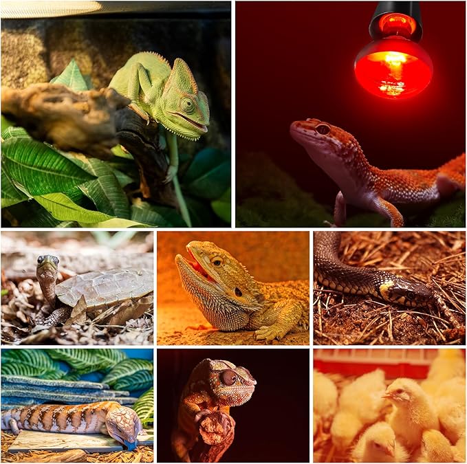 MIXJOY 100W Reptile Heat Lamp Bulb Combo, 2PCS Day & Night Reptile Heat Bulbs, UVA Daylight Intense Heat Basking Bulb Infrared Heat Light Bulb for Reptiles, Lizard, Tortoise, Bearded Dragon Chickens