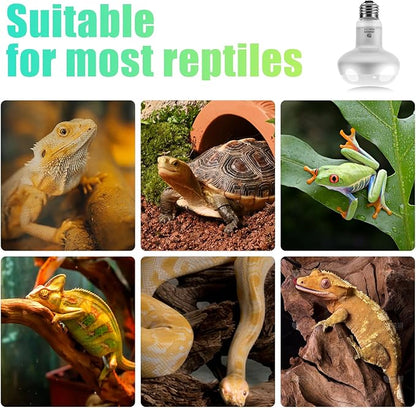 Reptile Heat Lamp 2Pack 50W, Intense Basking Spot Light Bulb with UVA, Simulate Natural Daylight Heat Bulb for Reptile, Turtle, Bearded Dragon, Lizard, Tortoise, Gecko, Snake
