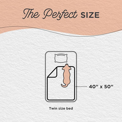 Best Friends by Sheri Calming Lux Dog Blanket – Ultra Soft Faux Fur Pet Throw, Anxiety-Relief, Lightweight Warm Bed Cover for Dogs and Cats, Machine Washable, Oyster Cream, 40" x 50"