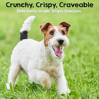 Riley's Chicken Sticks for Dogs - Natural USA Sourced Single Ingredient Dehydrated Real Meat Chicken Slims Jerky Treats, Made in The USA - 6 oz