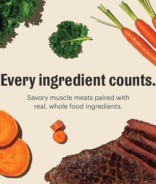 The Honest Kitchen One Pot Stews: Roasted Beef Stew with Kale, Sweet Potatoes & Carrots Wet Dog Food, 10.5 oz x6