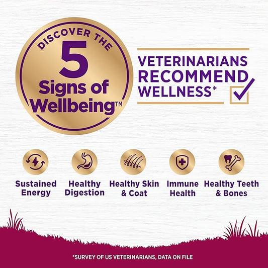 Wellness Complete Health Dry Dog Food, Small Breed, Grain Free, Natural, Turkey, Chicken, & Salmon Recipe (11-Pound Bag)