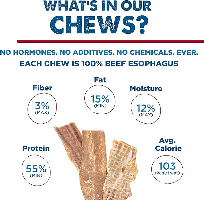 Best Bully Sticks 12 Inch Beef Jerky for Dogs - 12 Count (Pack of 1) - All-Natural, High-Protein Gullet, Rawhide Free, Chewy Treat