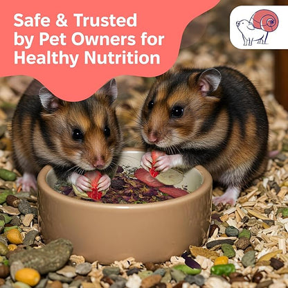 2 oz Fruit and Flower Topper – Natural Foraging Treat for Small Pets – Rabbits, Guinea Pigs, Chinchillas & More – Rich in Antioxidants & Vitamin C