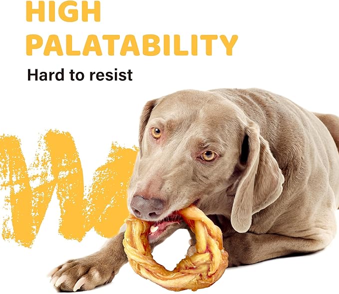 iPaw Turkey Tendons for Dogs Value Pack, 100% Turkey and US Sourced Raw Material, Hypoallergenic, All Natural Human Grade Puppy Chew, Rawhide Alternative Dog Treats, 10 Units/Bag Ring (Small)