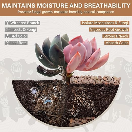 NUPICK 3 lbs Pebbles for Indoor Plants, 1/5 Inch Pea Gravel for Fish Tank, Decorative Rocks for Succulent, Natural River Stones for Vases, Cactus, Landscaping, Bird Bath, Aquarium, Peach