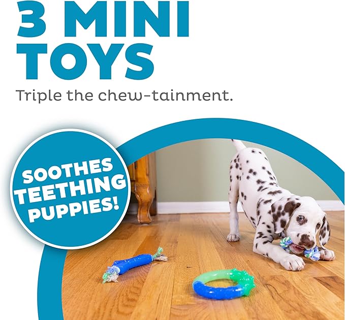 Outward Hound Orka Puppy Dental Chew Toys for Small Dogs & Teething Puppies - 3 Pack