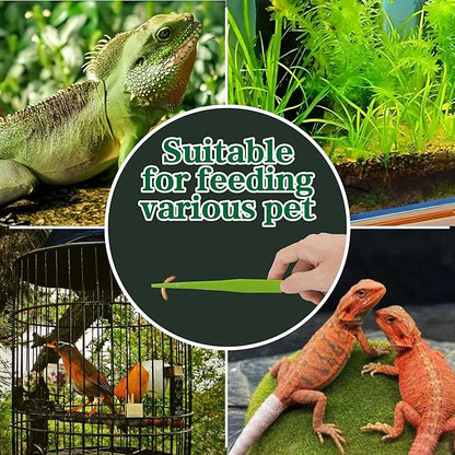 4-Pack Reptile Feeding Tongs Set - Hygienic Anti-Slip Green Tweezers for Bearded Dragons, Lizards, Snakes, Aquariums & Small Animals(Three Colors to Choose from, 18cm)
