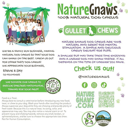 Nature Gnaws Beef Gullet Chews for Large Dogs 9-10" (20 Count) - Natural Beef Jerky Stick Dog Chew Treats - Rawhide Free