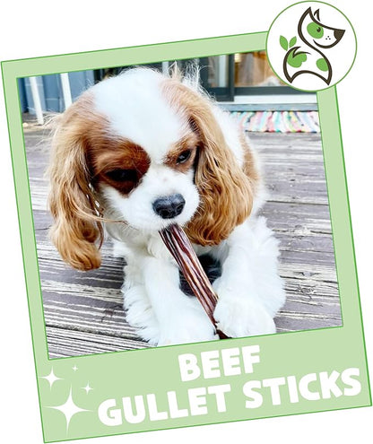 Nature Gnaws Beef Gullet Sticks for Dogs 5-6" (15 Count) - Natural Beef Jerky Stick Dog Chew Treats - Rawhide Free