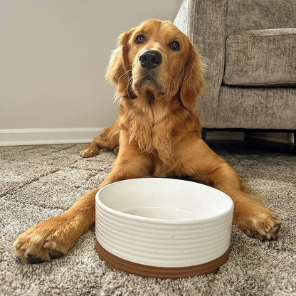 Mora Ceramic Pet Bowl Size Medium - Food/Water Dish for Large Puppies, Cats, Retrievers, Medium Sized Dogs, ect. 28oz or 4 Cups - Basic Bowls for Your Dog or Cat, Mix and Match for a Set - Vanilla