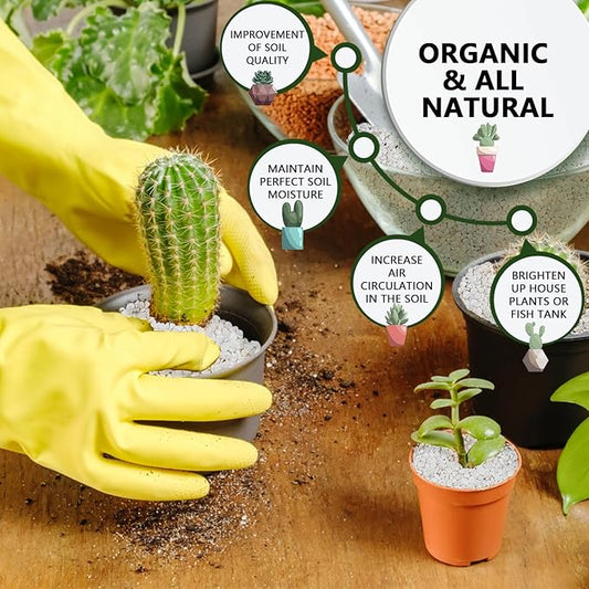 5 LBS White Pea Gravel, Natural Succulent and Cactus Gravel Pebbles, Pebbles for Indoor Plants, Natural Gardens Mulching, for Houseplants, for Aquarium Gravel, to Maintain Soil Aeration(4-6mm)