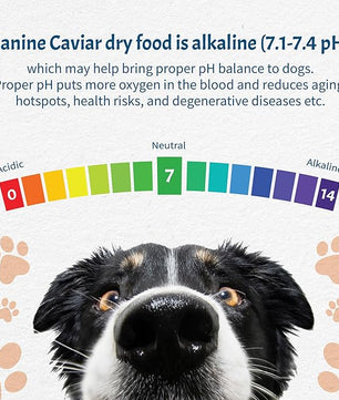 Canine Caviar - Special Needs: Chicken & Brown Rice Alkaline Dry Dog Food, Limited Ingredients, Gluten-Free, Based on Science & Research, Veterinary Alternative Diet (11 Pound Bag)