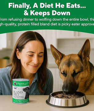 Dave's Pet Food Bland Dog Food (Lamb & Rice), Canned Wet Dog Food for Sensitive Stomachs, Gluten-Free, Digestive Care, 13.2 oz (Case of 12)
