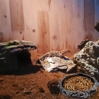 3 Pack Small Reptile Food and Water Bowls, Reptile Feeding Terrarium Bowls for Bearded Dragon Lizard Frog Gecko Tortoise Hermit Crab Snail (Black B)