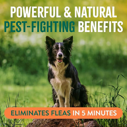 TropiClean Natural Maximum Strength Flea and Tick Spray for Dogs, 16oz