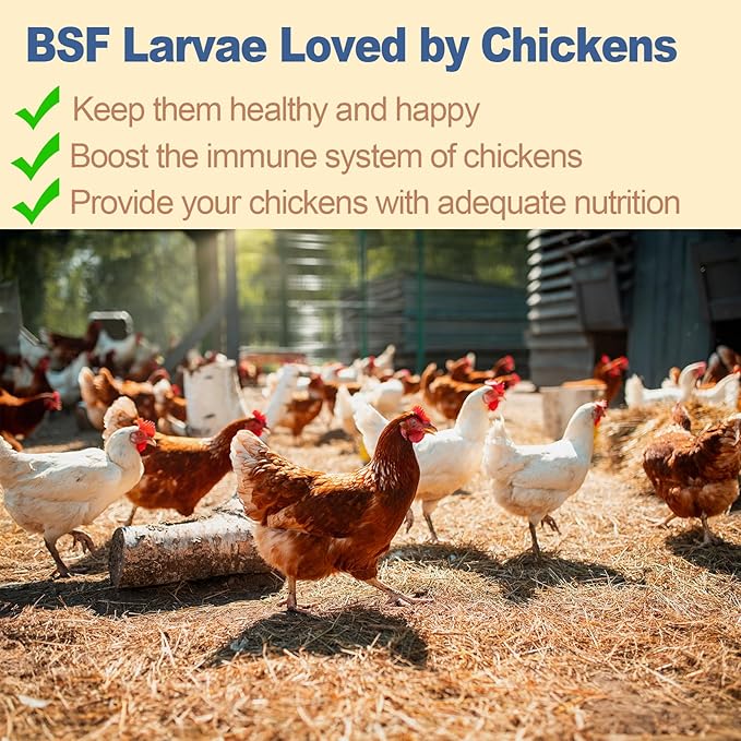 BSF Larvae 85X Calcium Than Dried Meal Worms 20LB(10lbx2) for Chicken Feed - Bulk Black Soldier Fly Larvae Poultry Treats - BSF Grubs Non-GMO Food High Protein Meal Worms for Hens,Wild Bird