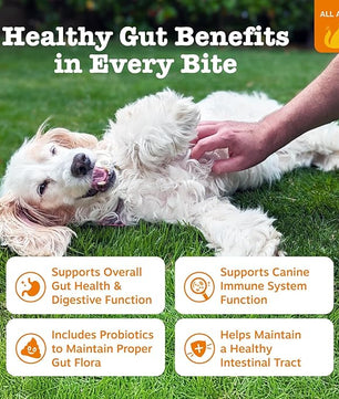 Zesty Paws Probiotics for Dogs - Digestive Enzymes for Gut Flora, Digestive Health, Diarrhea & Bowel Support - Clinically Studied DE111 - Dog Supplement Soft Chew for Pet Immune System - Adv, 90ct