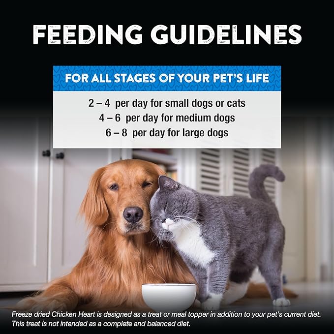 Northwest Naturals Raw Rewards Freeze-Dried Chicken Heart Treats for Dogs and Cats - Bite-Sized Pieces - Healthy, 1 Ingredient, Human Grade Ingredients, Natural, Proudly Made in USA, 3 Oz (Pack of 3)