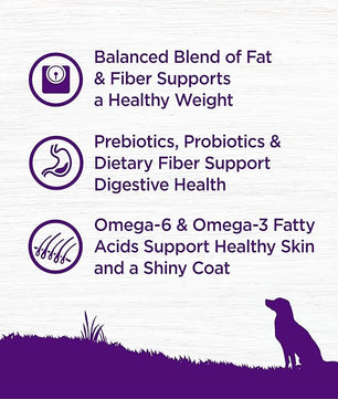 Wellness Complete Health Dry Dog Food with Grains, Natural Ingredients, Made in USA with Real Meat, All Breeds, For Adult Dogs (Healthy Weight - Chicken & Potatoes, 5-Pound Bag)