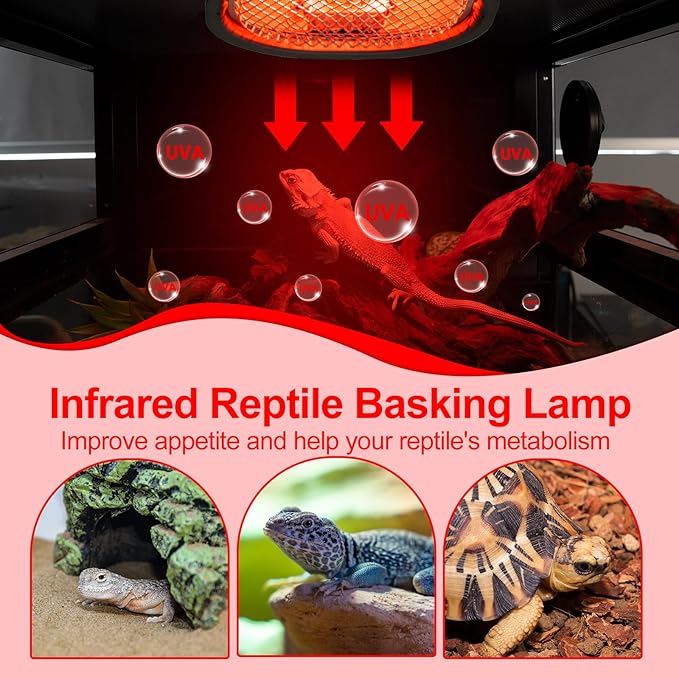 G9 Reptile Infrared Heat Lamp, Terrarium Heating Lamp Fixture with 50W UVA Low Profile Night Red Bulb | Safety Mesh, Tank Hood Basking Spot Light for Bearded Dragons Turtles Lizards Geckos