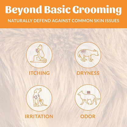 Skout's Honor Probiotic Dog Shampoo & Conditioner with Avocado Oil & Omega-3s, 97% Natural, Paraben & Sulfate-Free, Cruelty-Free, 16oz, Honeysuckle