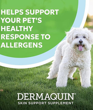 Nutramax Dermaquin Skin Support Supplement for Small to Medium Dogs and Cats, Supports Healthy Response to Allergens, with Hardy Kiwi, Omega-3s, and More, Tasty Soft Chews, 60 Count