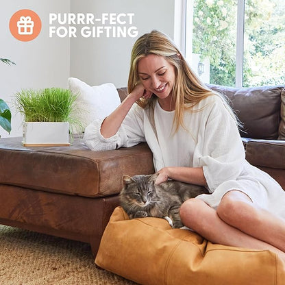 The Cat Ladies Organic Cat Grass Growing kit with Organic Seed Mix, Soil and Ceramic Planter with Bamboo Tray. Natural Hairball Control and Remedy for Cats