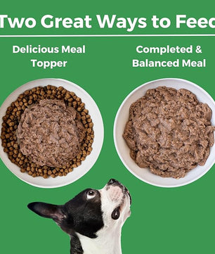 KOHA Limited Ingredient Diet Turkey Entrée for Dogs - Grain Free Wet Dog Food with No Fillers - Sensitive Stomach Canned Dog Food - 13 oz Pack of 12
