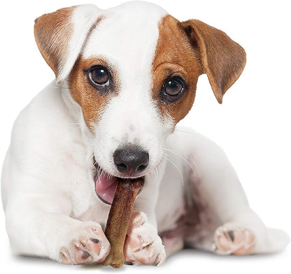 Nylabone Healthy Edibles Natural Dog Chews Long Lasting Bacon Flavor Treats for Dogs, Small/Regular (1 Count)