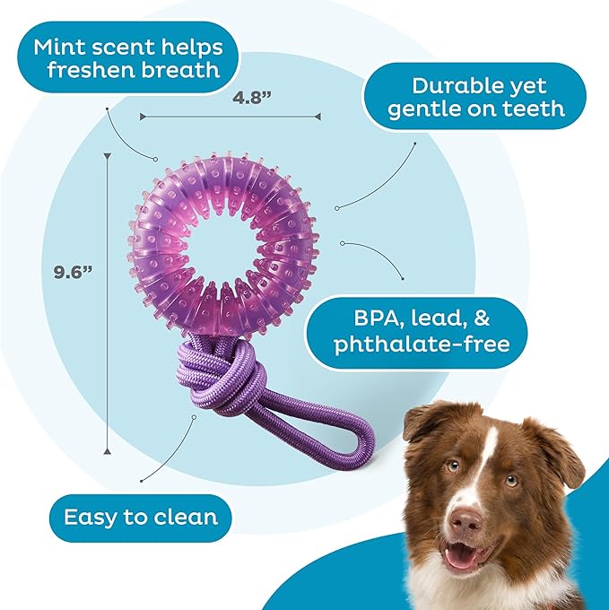 Outward Hound 2-in-1 Dental Dog Chew Wheel Ring & Rope Tug Toy for Teething Puppies & Dogs, Mint-Scented & Teeth-Cleaning, 9-Inch, Purple