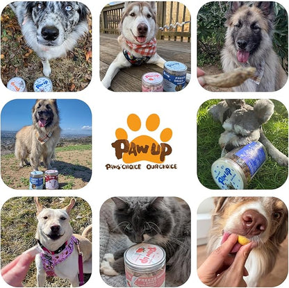 Freeze Dried Minnows Dogs Treats – 100% Raw Single-Ingredient Pet Fish Snacks – Rich in Omega-3, Grain-Free – Healthy Training Rewards & Meal Toppers, 2.8 oz