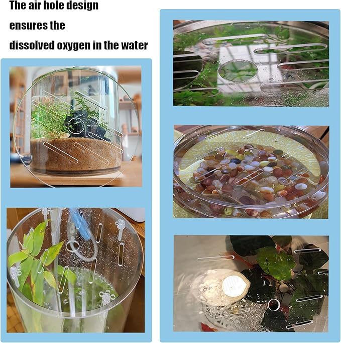 1 Pcs Acrylic Aquarium Anti-Jumping Lid Cover with Hole, Aquarium Cover Lid to Prevent Fish, Reptiles, Shrimp, Turtles from Jumping Out of The Tank, Thick 3mm (Diameter 7.8inch)