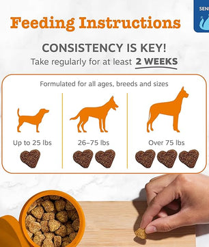 Zesty Paws Dog Allergy Relief - Anti Itch Supplement - Omega 3 Probiotics for Dogs - Stop Paw Licking - Soft Chews for Skin Health & Seasonal Allergies - with Epicor Pets - Senior - Salmon - 90 Count