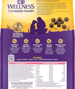Wellness Complete Health Sensitive Skin & Stomach Dry Dog Food, Wholesome Grains, Natural, Salmon & Rice Recipe, (5-Pound Bag)