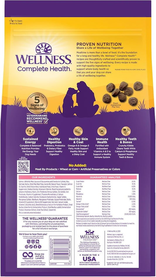 Wellness Complete Health Sensitive Skin & Stomach Dry Dog Food, Wholesome Grains, Natural, Salmon & Rice Recipe, (5-Pound Bag)