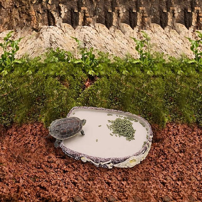 Bearded Dragon Food Bowl Water Dish, Resin Reptile Feeder Kit, Tank Aquarium Terrarium Accessories, Feeding Bowl for Amphibian Hermit Crab Turtle Lizard Chameleon Frog - 8 × 6 × 0.8 inch