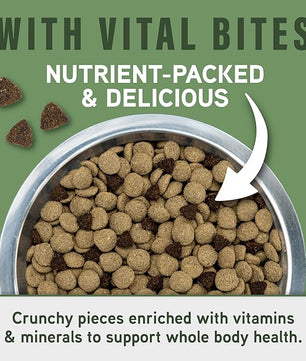 Natural Balance Specialized Nutrition Dry Dog Food with Lamb and Oatmeal for Dogs, Digestive & Immune Health Food, Natural Ingredients with Added Vitamins & Minerals - 3.5 lbs