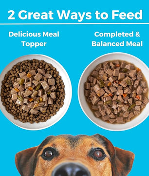 KOHA Greek Island Grill Stew for Dogs with Chicken and Lamb, High Protein Wet Dog Food, 12.7oz Cans (Case of 12)