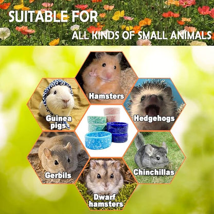 kathson 2 Pcs Hamster Food Bowl Guinea Pig Ceramic Water Bowl Small Animal Feeding Dish for Dwarf Hamster Gerbil Syrian Ferret Hedgehog Chinchilla Bunny (Navy)…