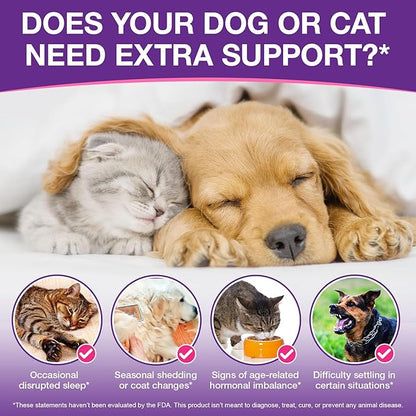 Melatonin for Pets, Dog Melatonin, Melatonin for Dogs Calming, Melatonins for Cats, Promotes Relaxation, Deep Sleep & Calm Behaviour, Reduce Anxiety and Stress, Chicken Flavor - 2Oz