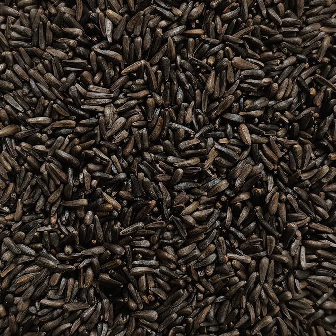Nyjer/Thistle Seeds Wild Bird Food - 10 Pounds I No Grow Seed I Bird Seed for Wild Birds