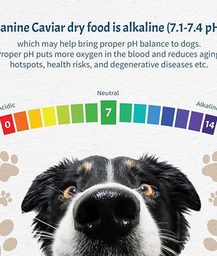 Canine Caviar - Free Spirit: Chicken & Pearl Millet Alkaline Dry Dog Food, Limited Ingredients, Gluten-Free, Based on Science & Research, Veterinary Alternative Diet (4.4 Pound Bag)
