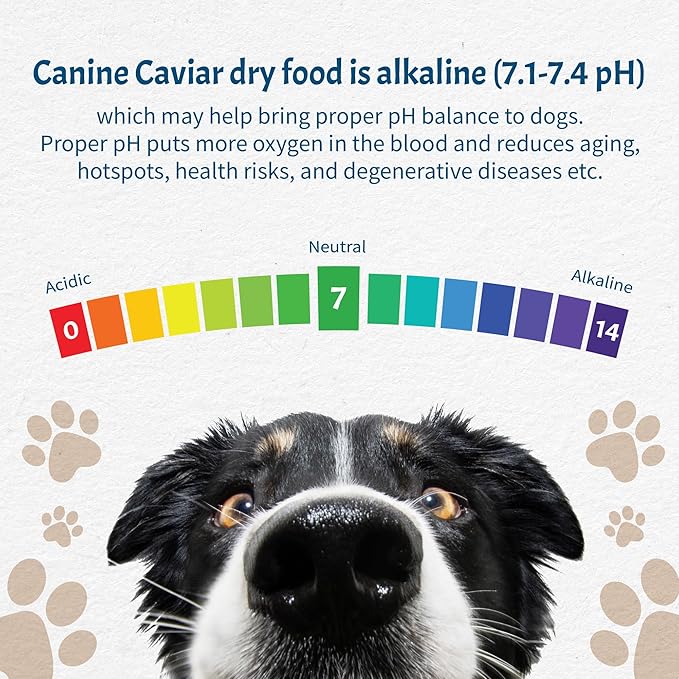 Canine Caviar - Free Spirit: Chicken & Pearl Millet Alkaline Dry Dog Food, Limited Ingredients, Gluten-Free, Based on Science & Research, Veterinary Alternative Diet (4.4 Pound Bag)