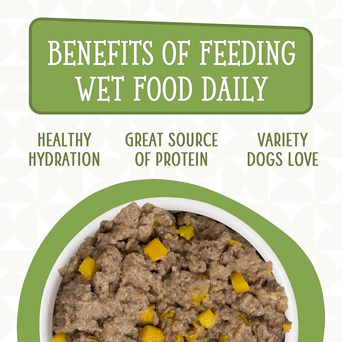 Weruva Dogs in The Kitchen, Lamburgini with Lamb & Pumpkin Au Jus Dog Food, 10oz Can (Pack of 12)