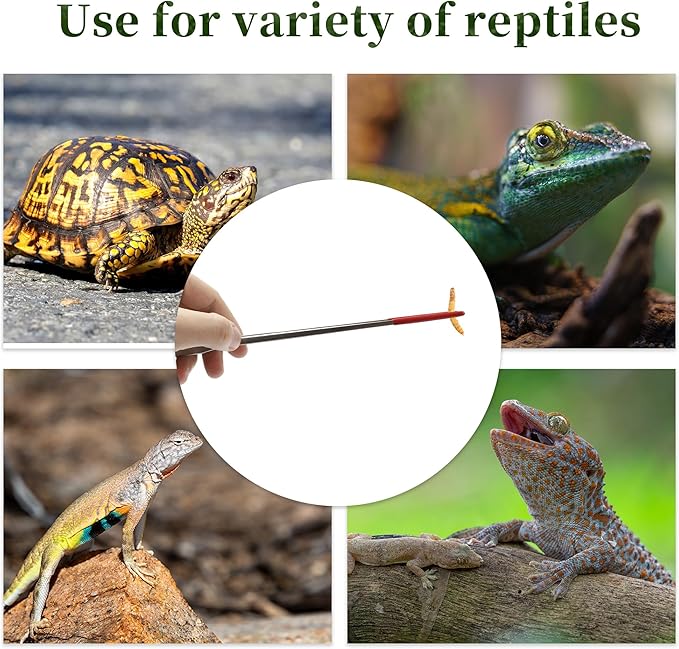 Reptile Feeding Tongs, Stainless Steel Lizard Feeding Tongs, Aquarium Straight Feeding Tweezers for Reptiles with Rubber Tip, Terrarium Feeding Tongs for Gecko, 10.63" Length, Red