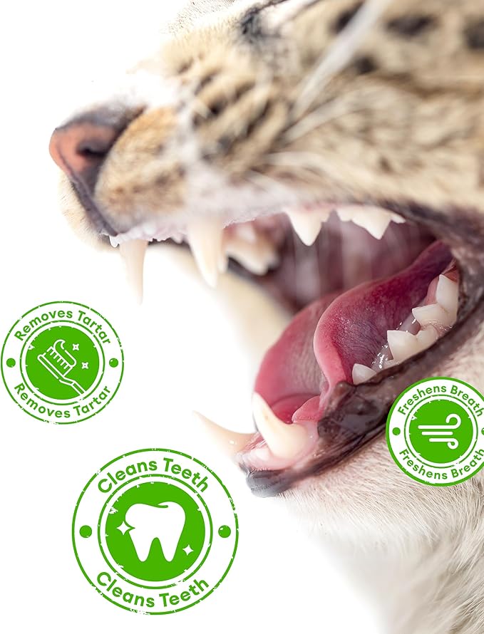 17.63oz Cat Grass Treats for Hairball Control – Natural Chicken & Cat Grass & Catnip Biscuits, Low-Calorie Healthy Snacks for Indoor Cats, Digestive & Dental Care