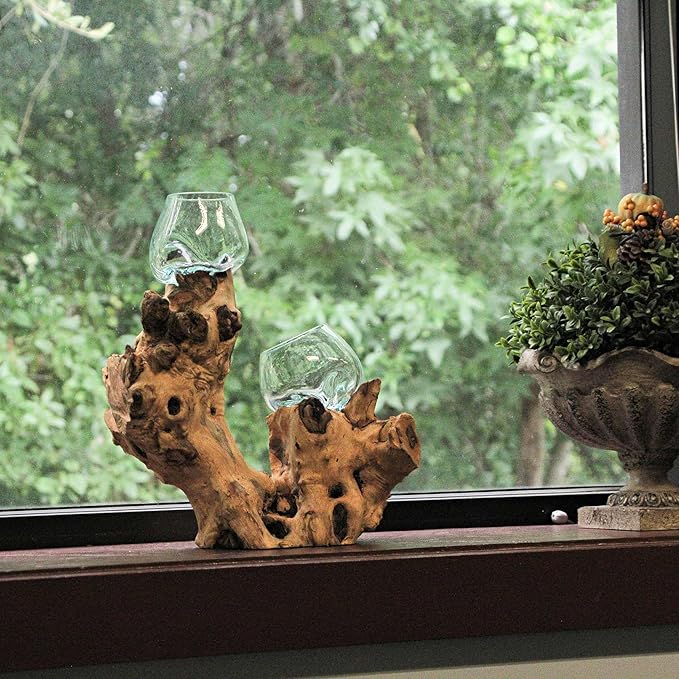 Molten Glass On Root Wood Double Decorative Bowl Vase Plant Terrarium - Boho Style for Tabletops