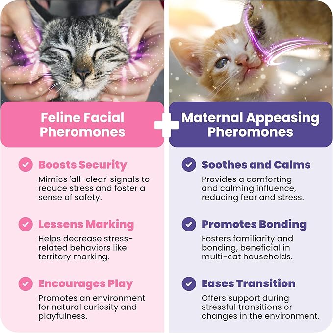 TherapetMD - Cat Calming Diffuser Pheromone Kit - Multi Cat Anxiety Relief Stress Reduction Plugin 700 sq ft Coverage Vet Recommended.