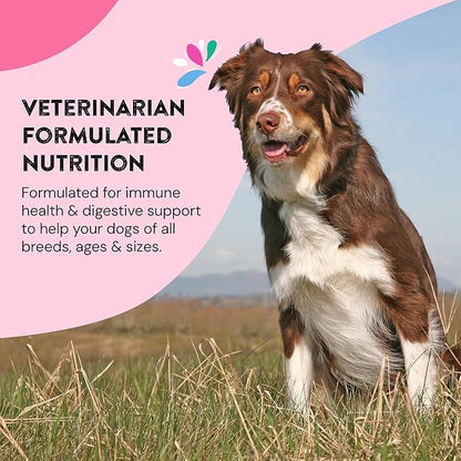 Hip & Joint Supplements for Dogs | Helps Joint Health & Mobility Support for Recovering and Senior Dogs | Natural Ingredients, Tasty Kibble Dog Food Topper | 60-Count Pack